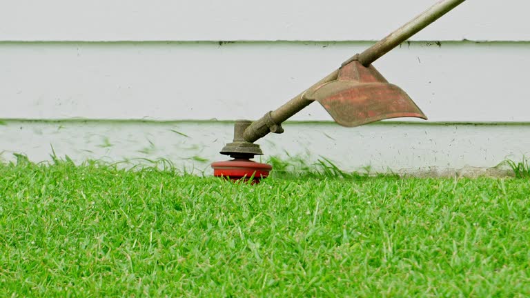 Best Grass Overseeding  in East Lexington, VA