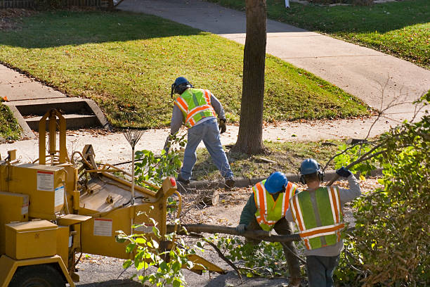 Best Commercial Tree Services  in East Lexington, VA