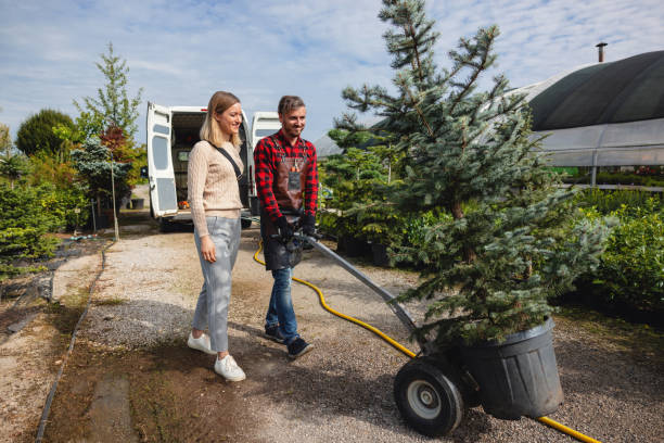 Professional Tree Services in East Lexington, VA